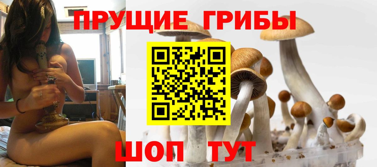 Псилоцибиновые грибы прущие грибы  Вход с VPN  Красноярск  Галлюциногенные грибы MAGIC MUSHROOMS 